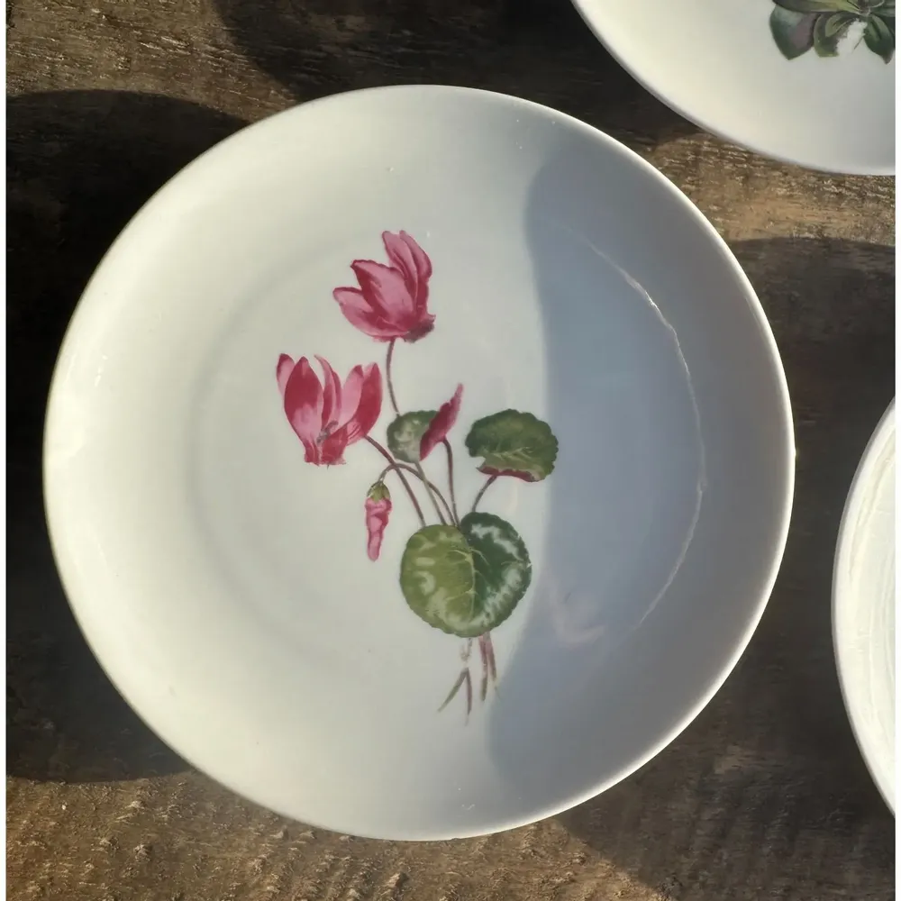 Formal plates - Set of 5 flower pattern dessert plates Germany Bavaria D19 - OFFICE OBJETS