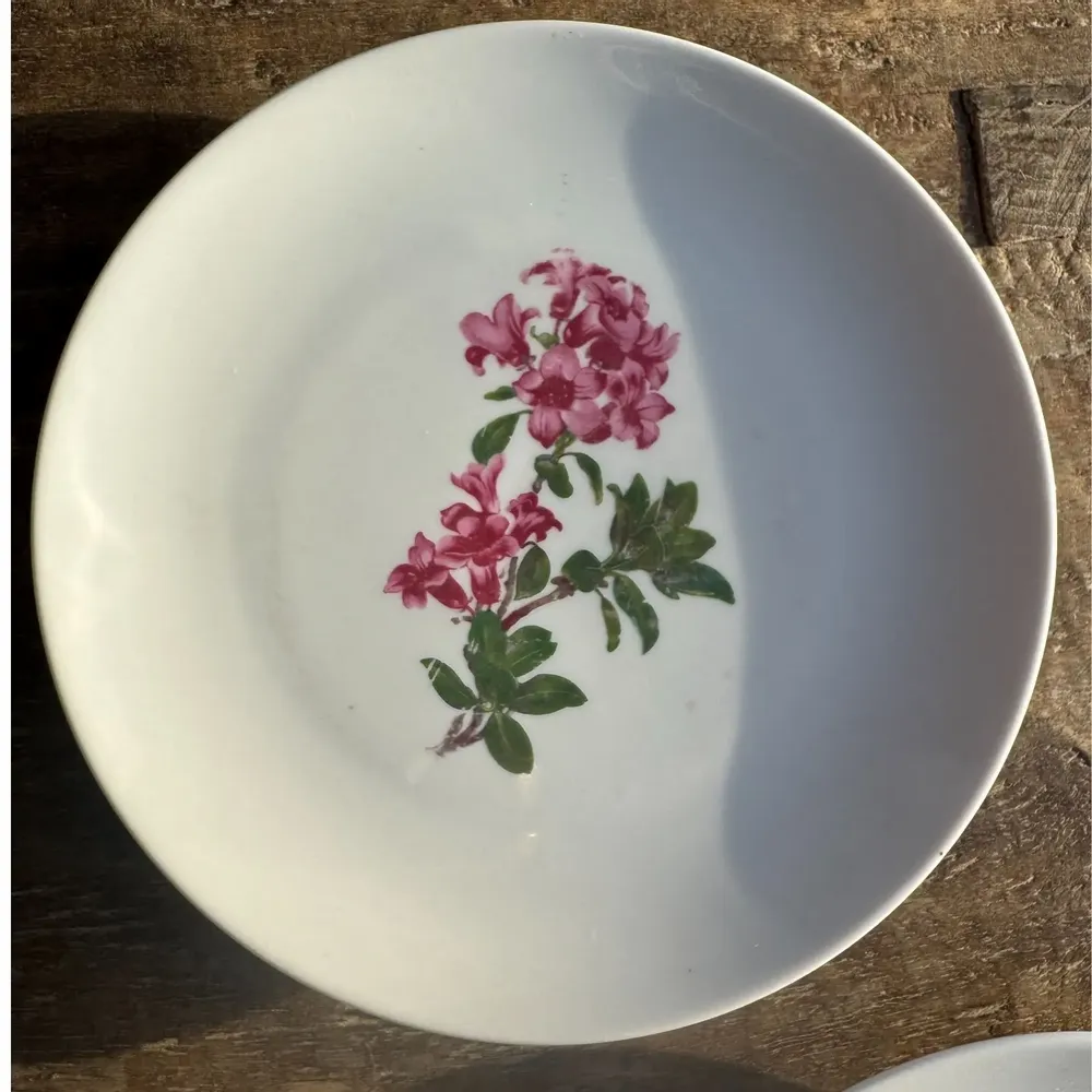Formal plates - Set of 5 flower pattern dessert plates Germany Bavaria D19 - OFFICE OBJETS