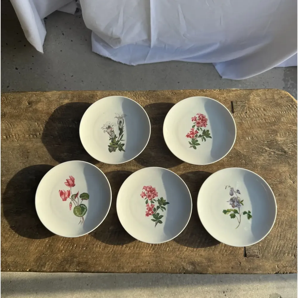 Formal plates - Set of 5 flower pattern dessert plates Germany Bavaria D19 - OFFICE OBJETS