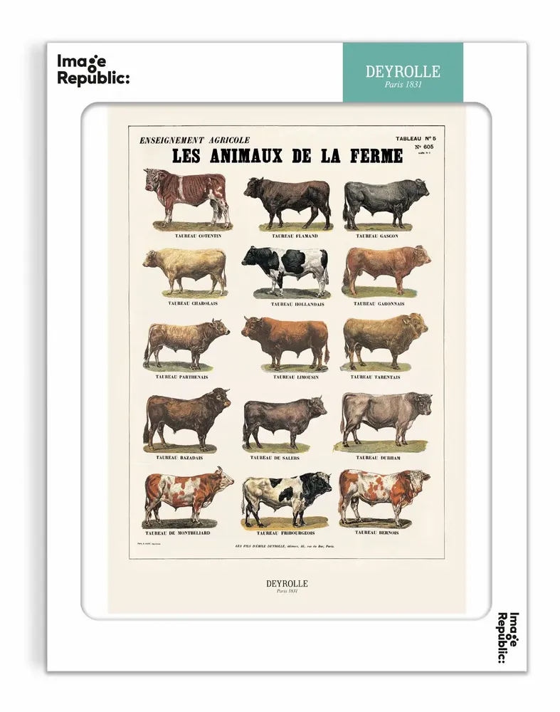 Poster - DEYROLLE - IMAGE REPUBLIC