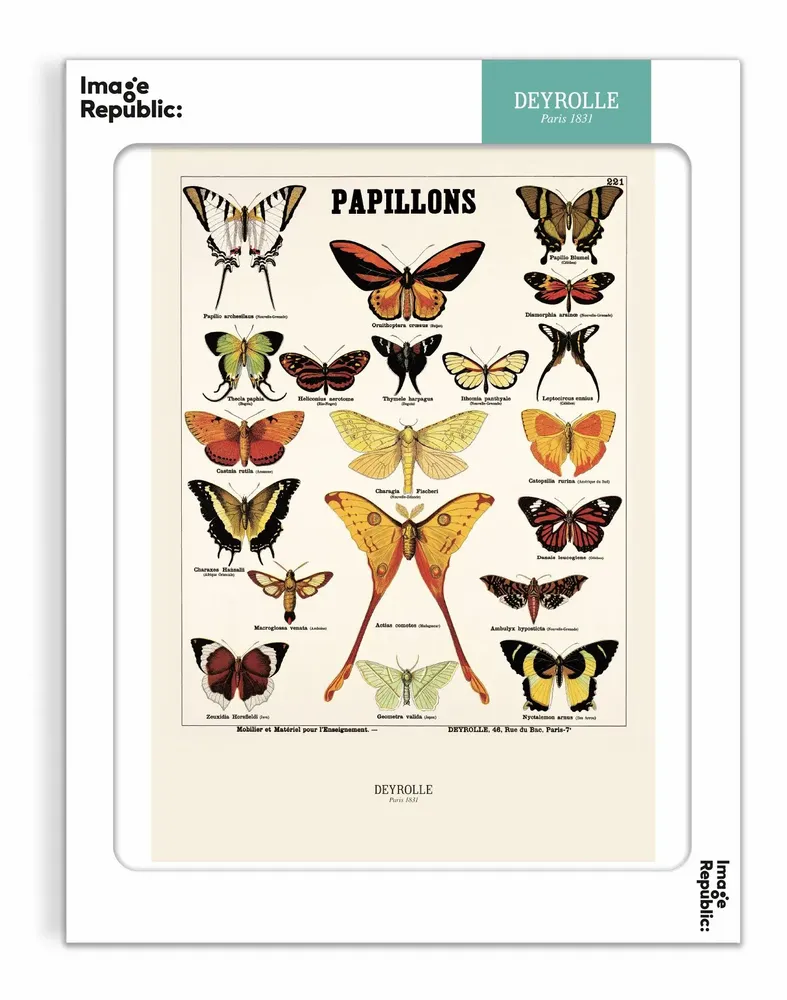 Poster - DEYROLLE - IMAGE REPUBLIC