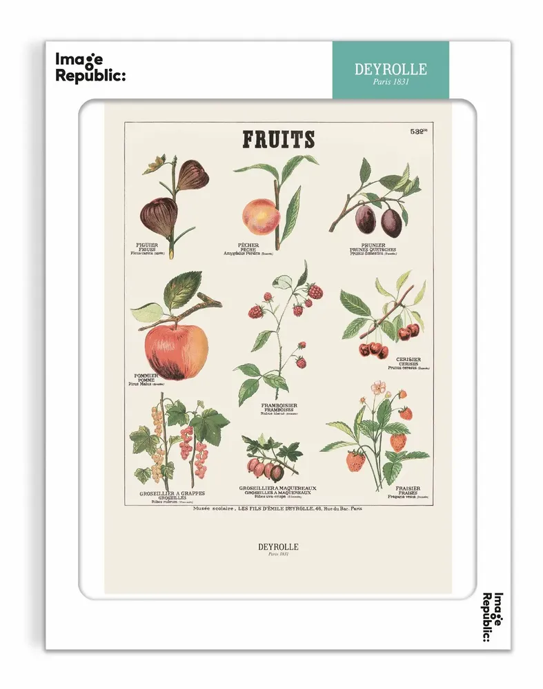 Poster - DEYROLLE - IMAGE REPUBLIC