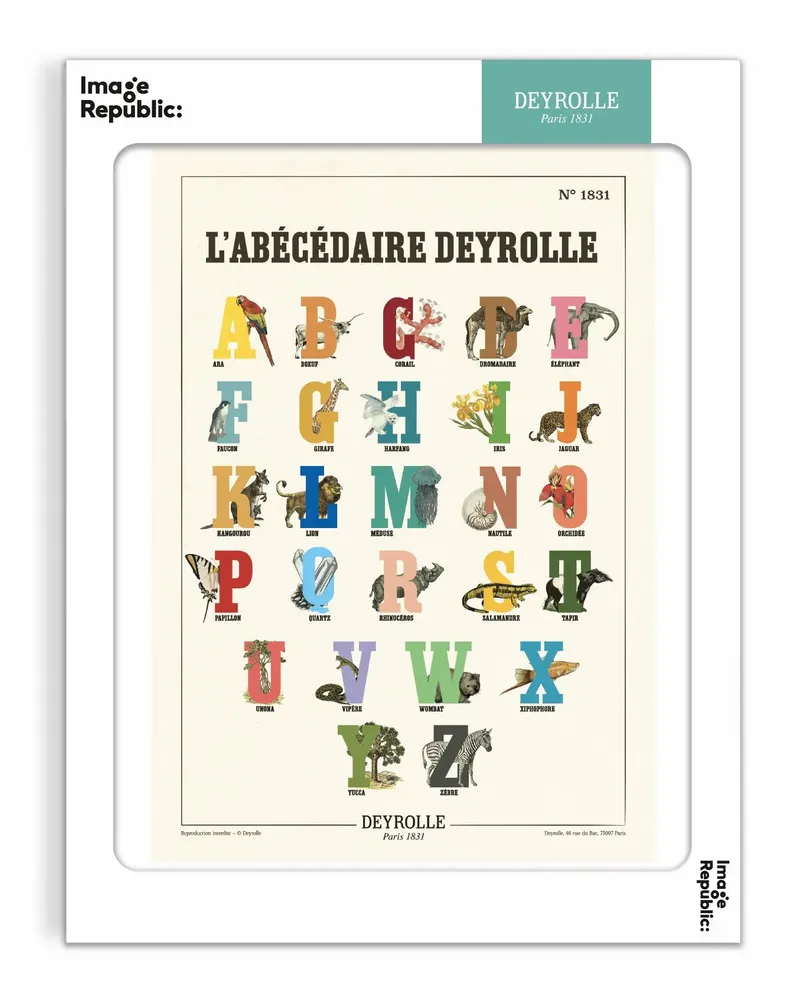 Poster - DEYROLLE - IMAGE REPUBLIC