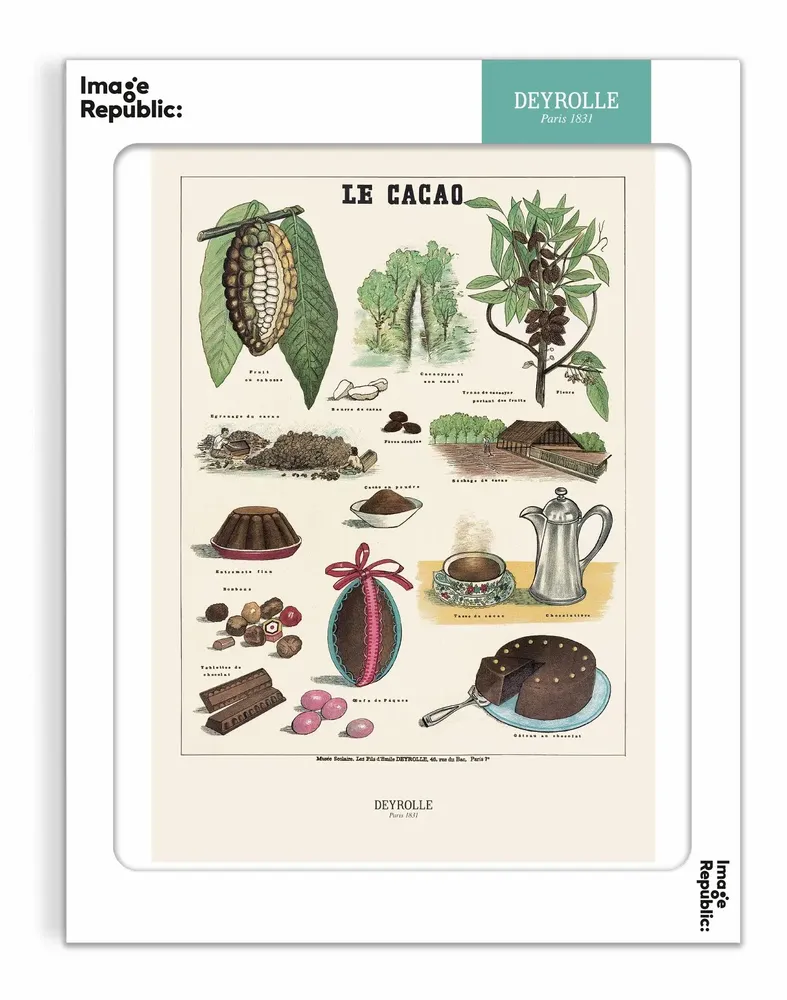 Poster - DEYROLLE - IMAGE REPUBLIC