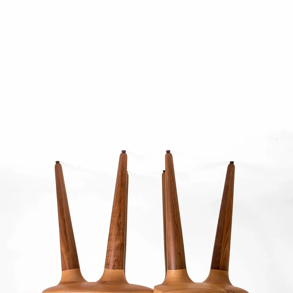 Other tables - Ameoba - Table - Beech and Walnut Wood - DAMJ