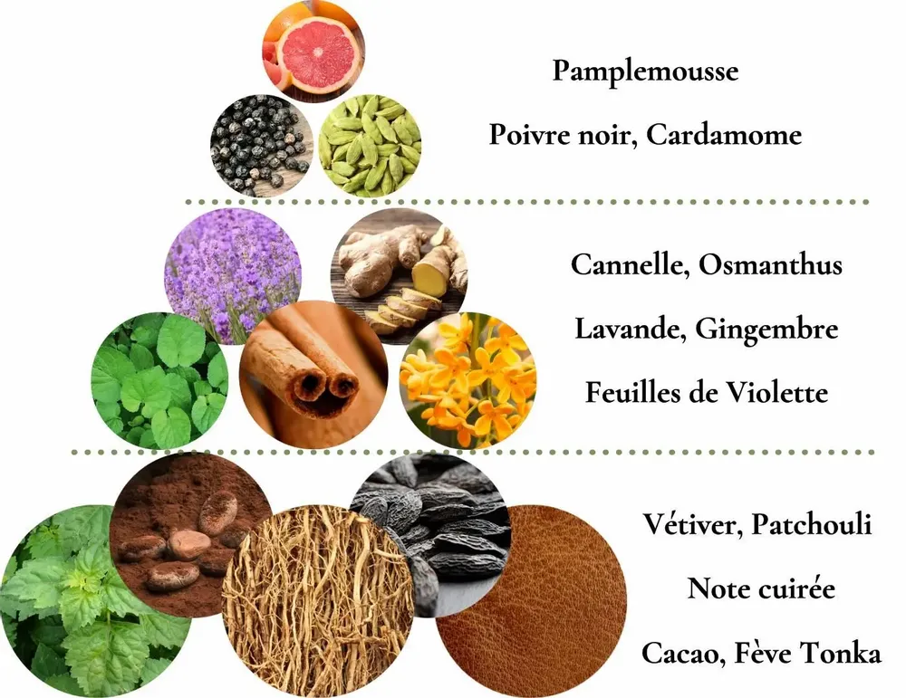 Parfums pour soi et eaux de toilette - Eaux de parfum naturelles - Kit échantillons 5 Esprits de la Nature - POÉSIE PARFUMÉE