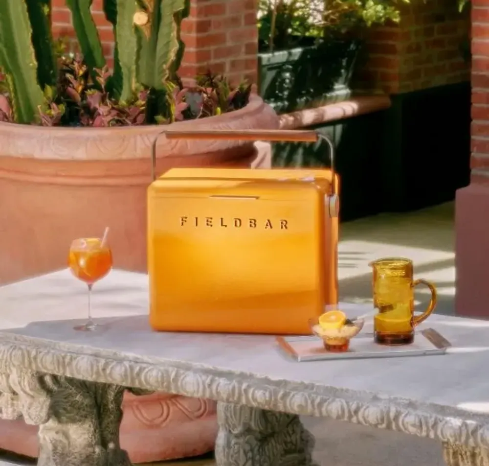 Outdoor decorative accessories - The Gin Trunk - FIELDBAR