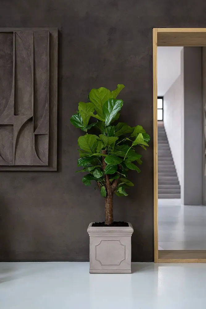 Pots de fleurs - Collection Heritage - POTTERY POTS