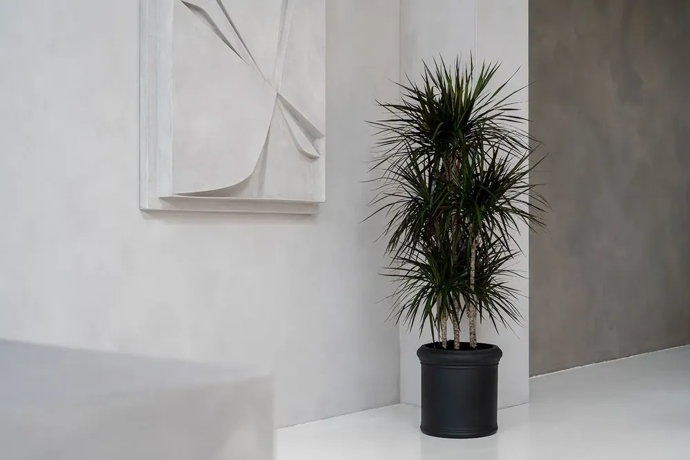 Pots de fleurs - Collection Heritage - POTTERY POTS