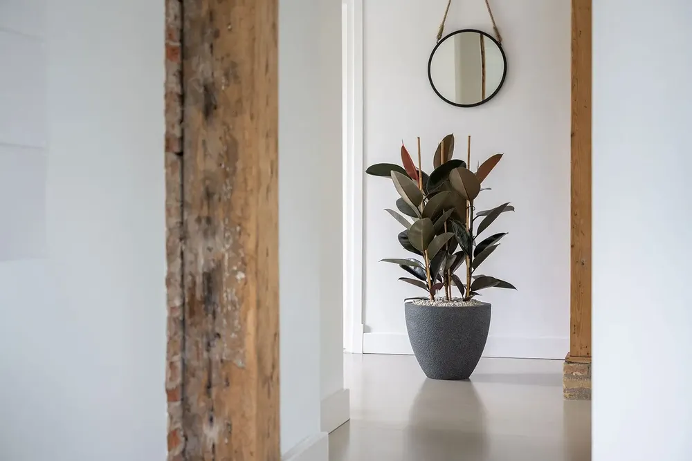 Flower pots - Granite collection - POTTERY POTS