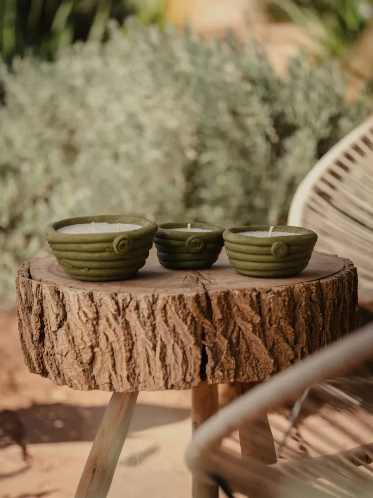 Bougies - Bougie Terrae Fleur de Cactus - LOULE INTERIEUR