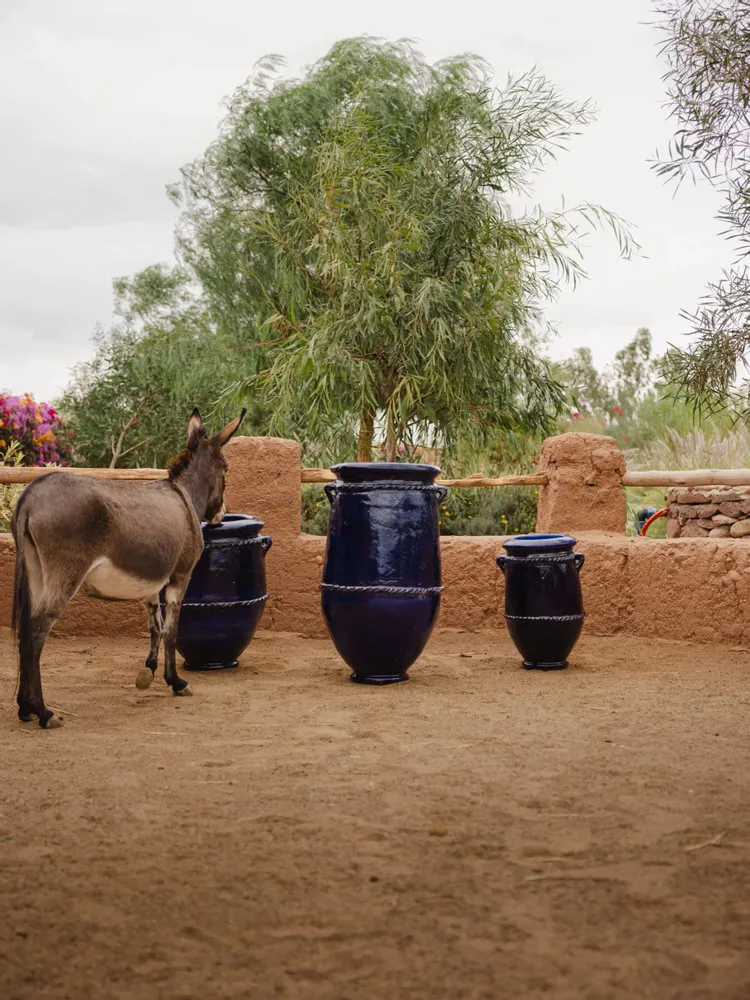 Carafes - Jarre Tamegroute bleu - LOULE INTERIEUR
