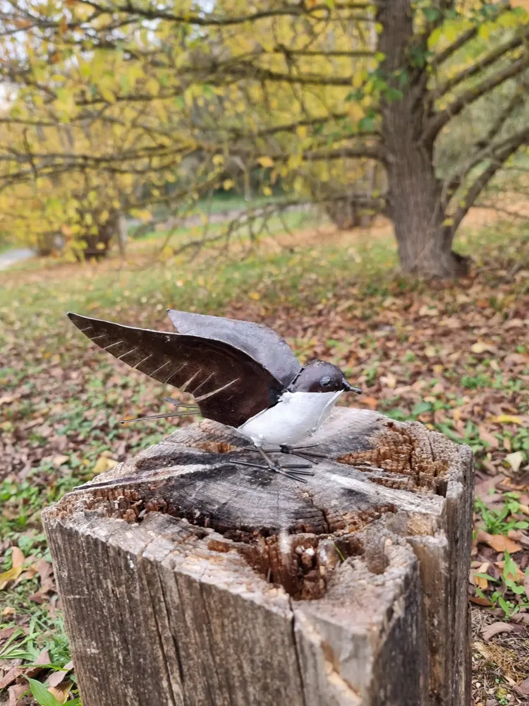 Outdoor decorative accessories - White Swallow open Wings Recycled Metal Sculpture - TERRE SAUVAGE