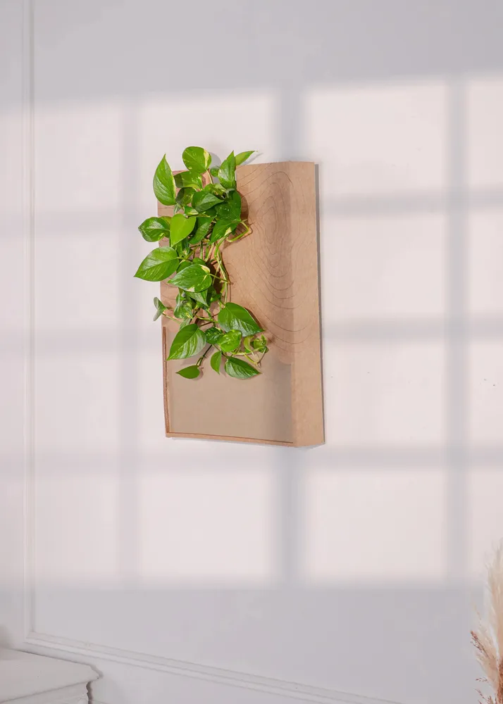 Revêtements muraux - Tableau Géologique 60x40 - ARTENA VEGETAL