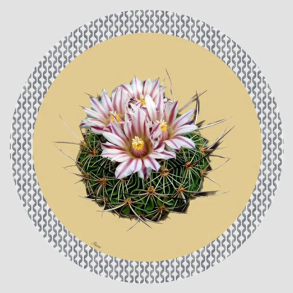 Dessous de plat - Dessous de bouteille - Cactus Sottobottiglia Rotondo - #03 - FURIA LIVING