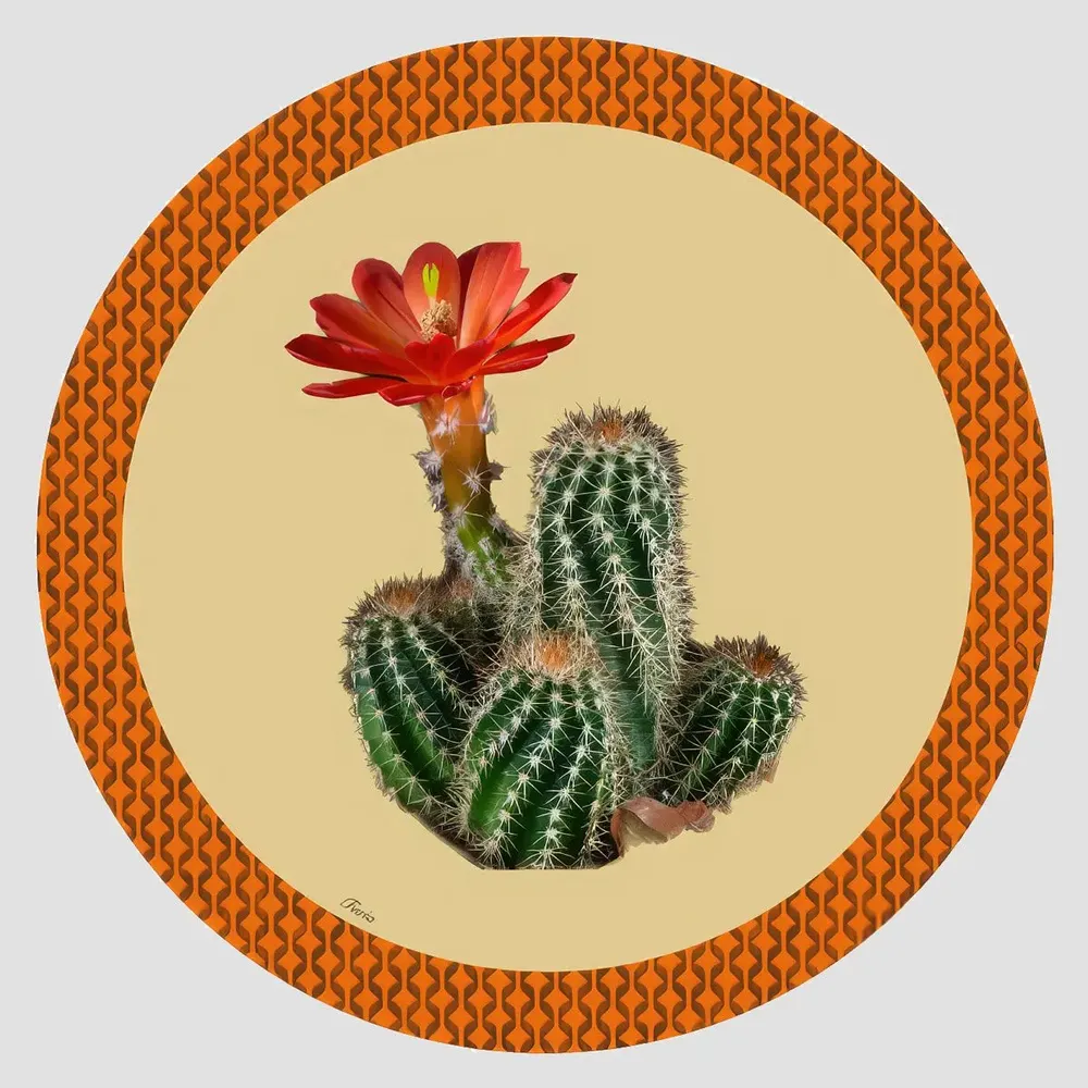 Table mat - Bottle coaster - Cactus Sottobottiglia Rotondo - #04 - FURIA LIVING