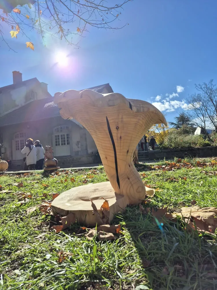 Pièces uniques - Girolles tabourets sculptées en bois - BOIS DE LION