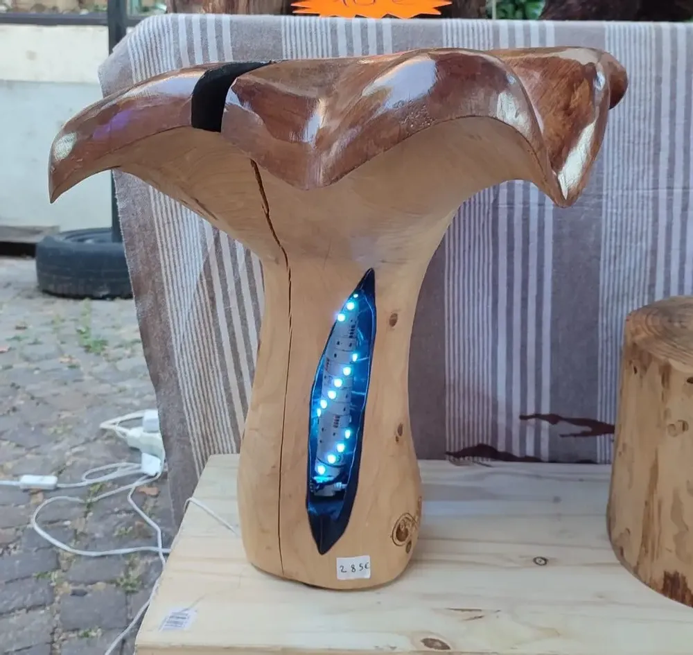 Pièces uniques - Girolles lumineuses sculptées en bois - BOIS DE LION