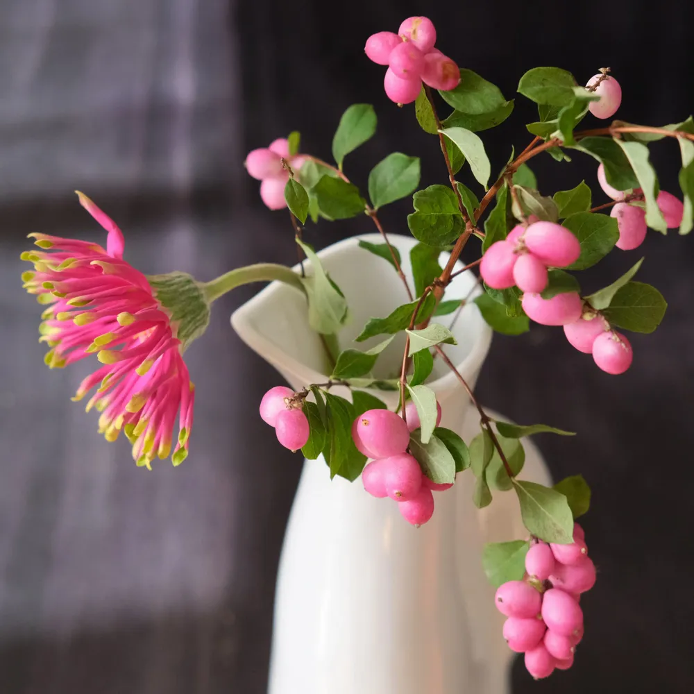 Vases - Like an attentive meerkat, the porcelain pitcher stands in quiet vigil - TSÉ & TSÉ