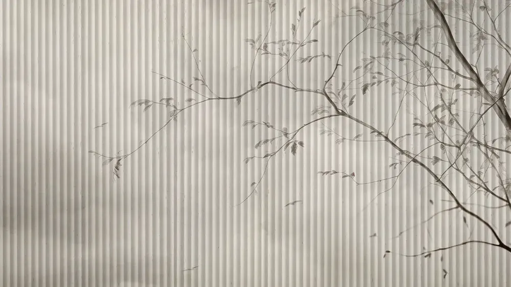 Wallpaper - Branches and hollows - STUDIJO