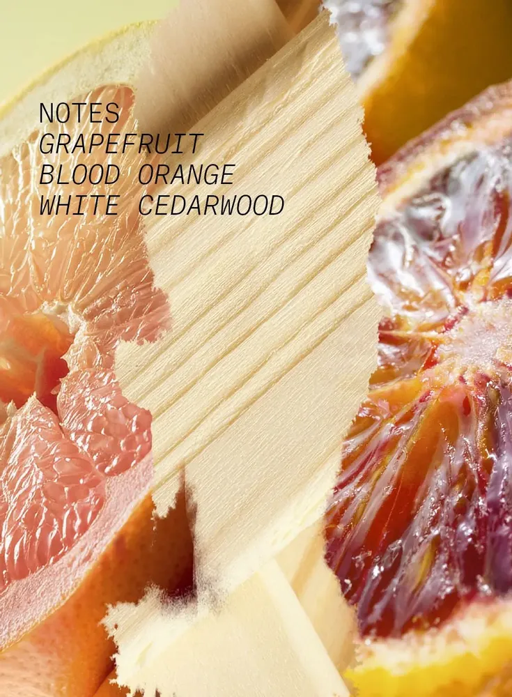 Fragrance for women & men - EAU DE PARFUM VERTE EUPHORIE - L'ATELIER PARFUM PARIS