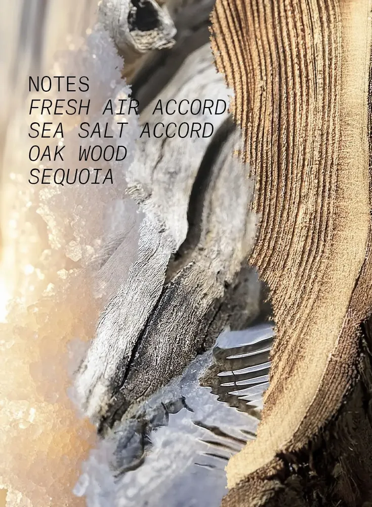 Fragrance for women & men - EAU DE PARFUM SALTY WOOD - L'ATELIER PARFUM PARIS