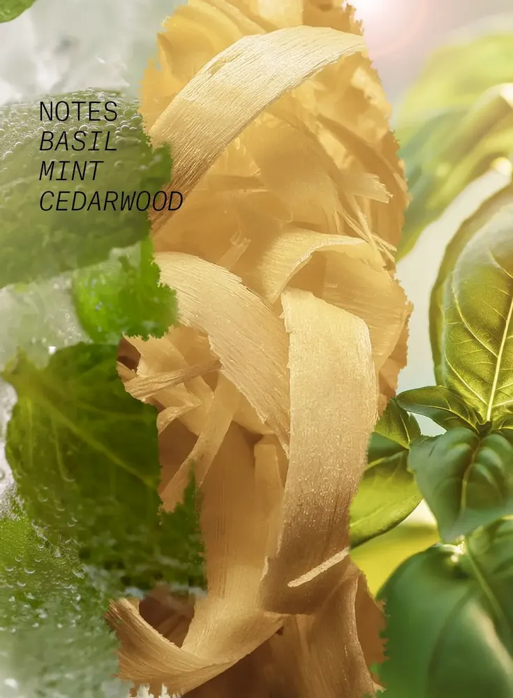 Fragrance for women & men - EAU DE PARFUM GREEN CRUSH - L'ATELIER PARFUM PARIS