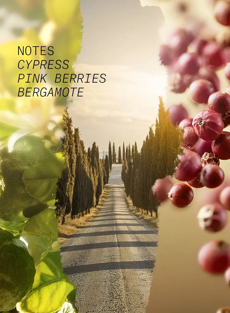 Fragrance for women & men - EAU DE PARFUM CYPRESS SHADOW - L'ATELIER PARFUM PARIS