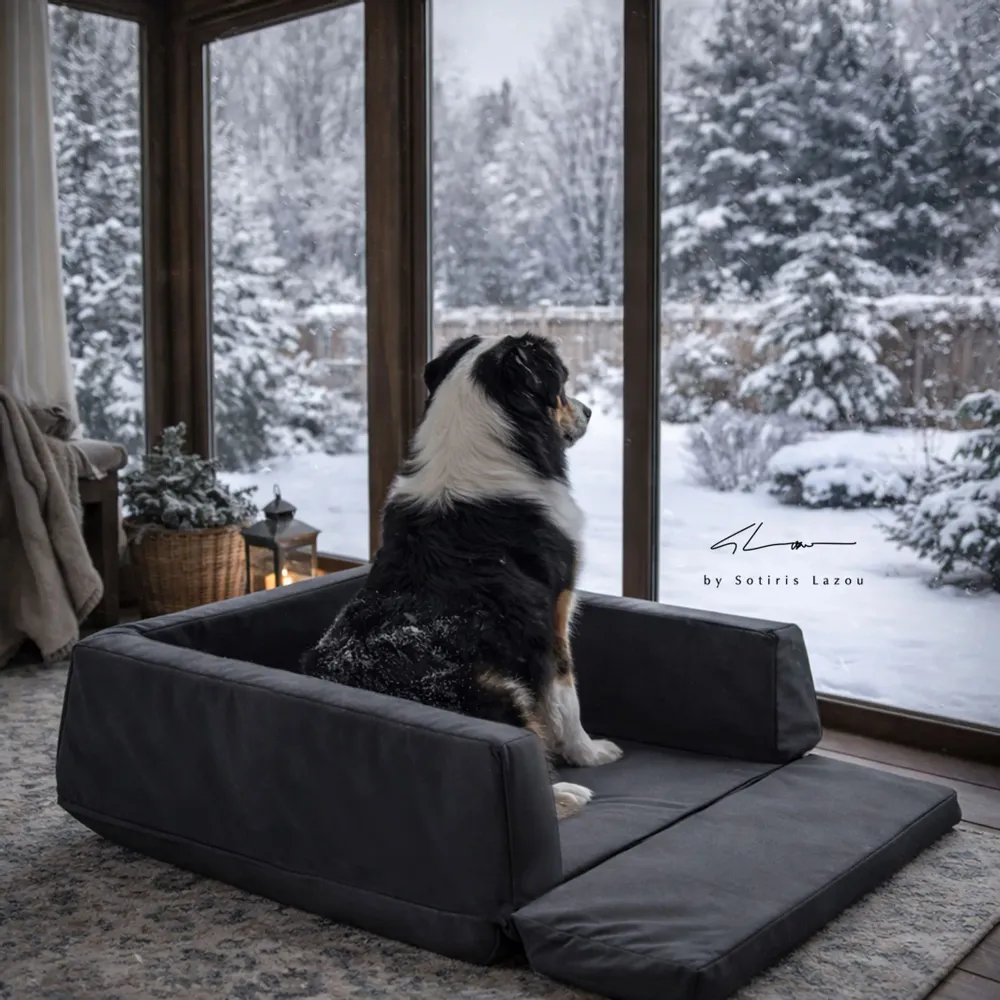 Ottomans - Pet Box - POUFOMANIA