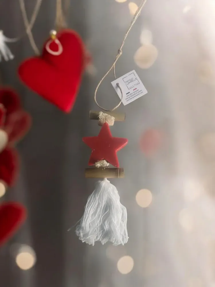 Savons - Tresse 1 Savon Etoile Fruit Rouge - FABRIQUE LOMAELLE