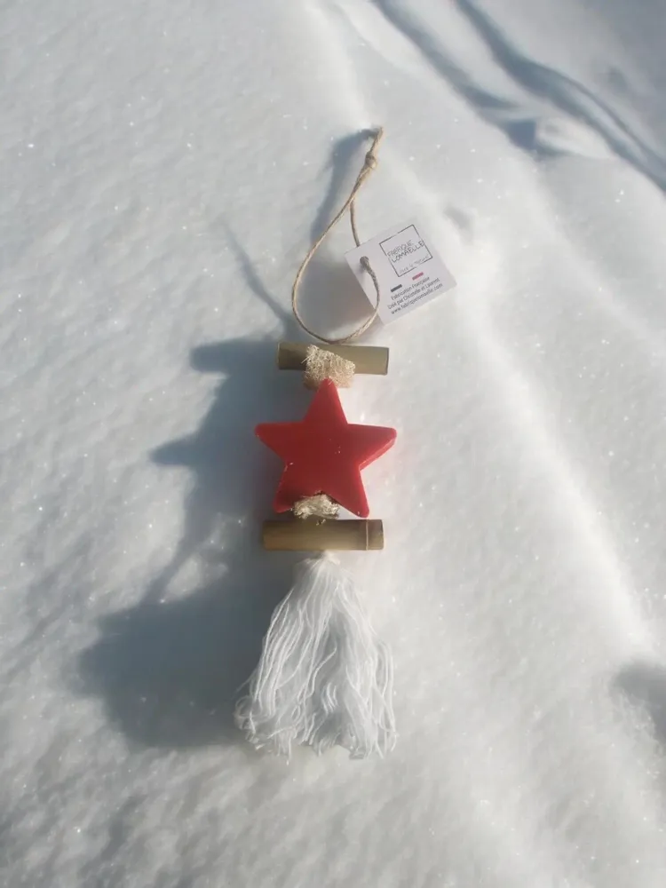 Savons - Tresse 1 Savon Etoile Fruit Rouge - FABRIQUE LOMAELLE