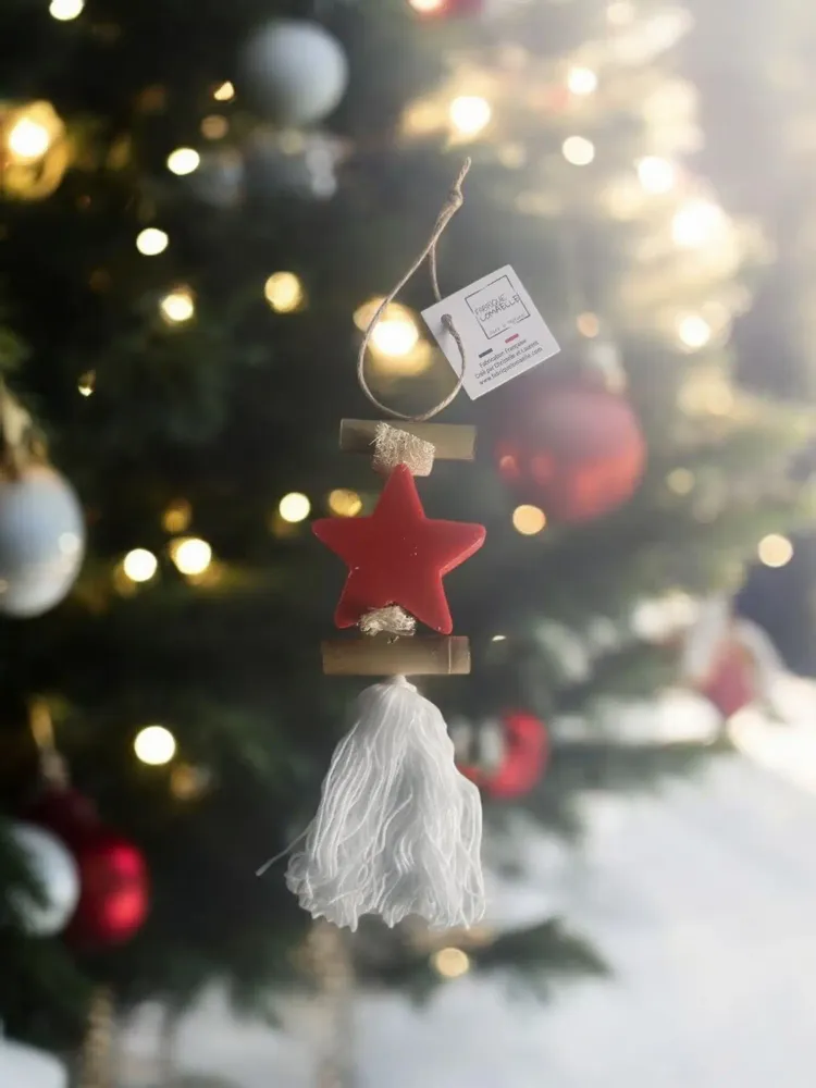 Savons - Tresse 1 Savon Etoile Fruit Rouge - FABRIQUE LOMAELLE