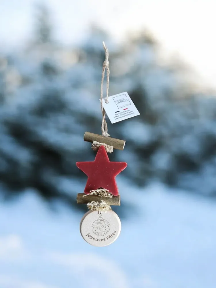 Savons - Tresse 1 Savon Etoile Fruit Rouge avec Rond Bois Gravé "boule de noël" - FABRIQUE LOMAELLE