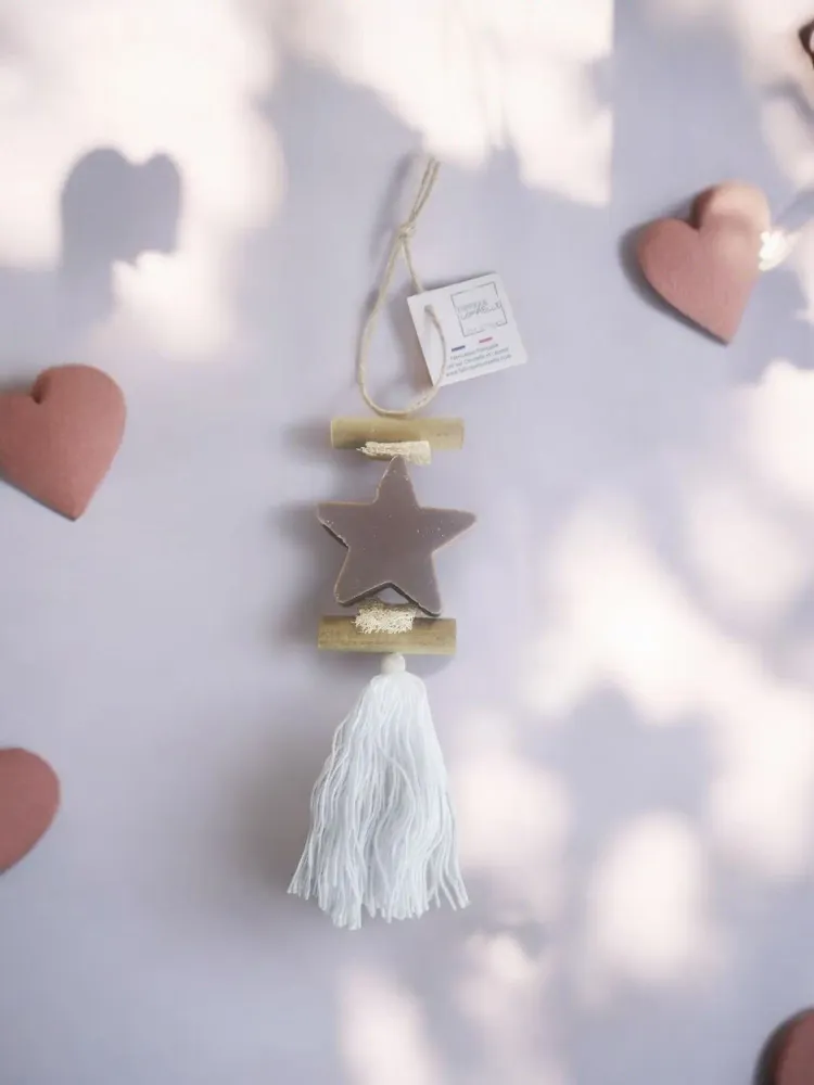 Savons - Tresse 1 Savon Etoile Fleur de Coton - FABRIQUE LOMAELLE