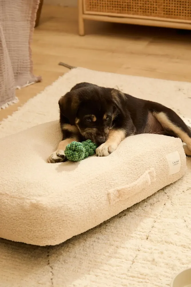 Tissus - TAICO - CALMA HOUSE