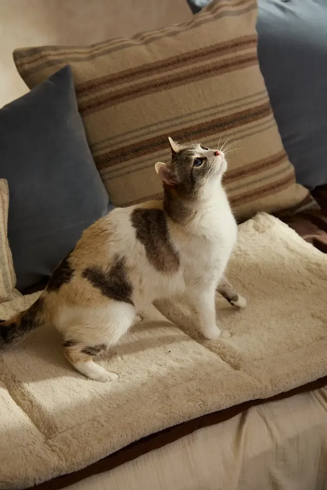 Tissus - TAICO - CALMA HOUSE