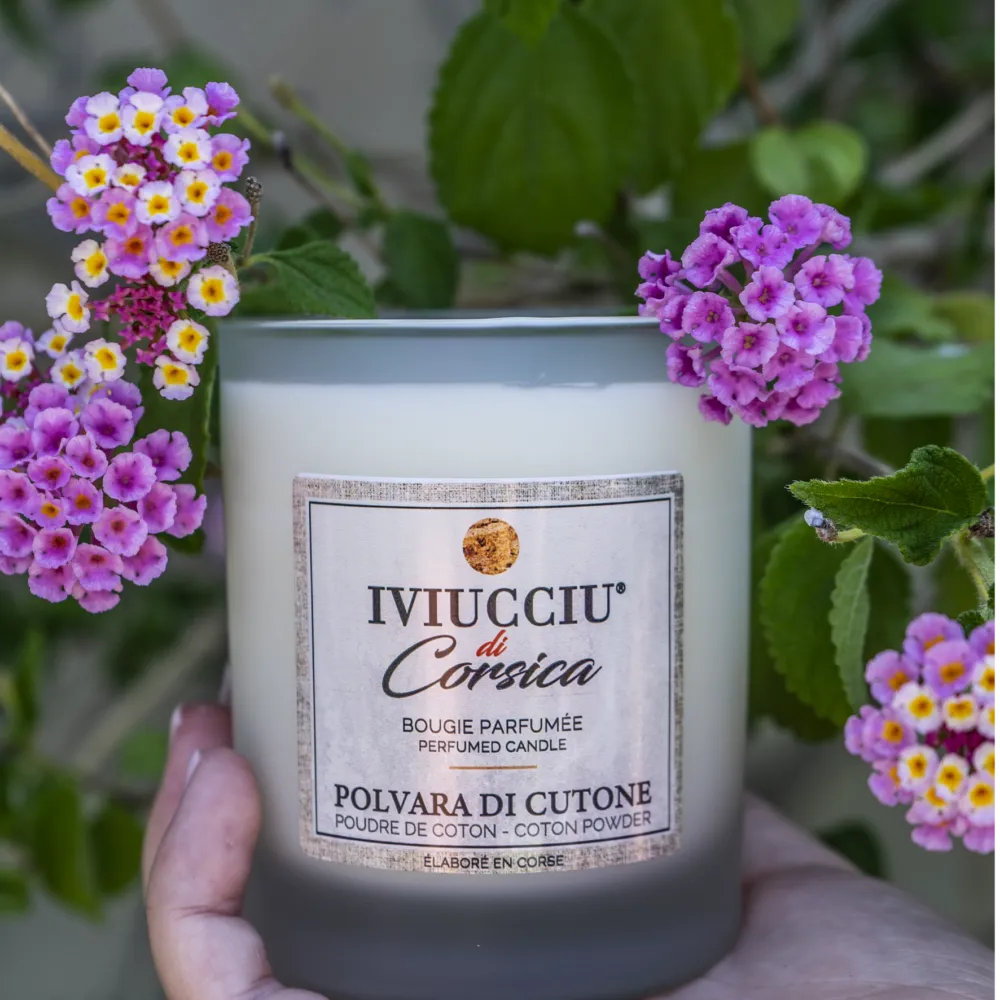 Bougies - Bougie Poudre de coton - IVIUCCIU DI CORSICA