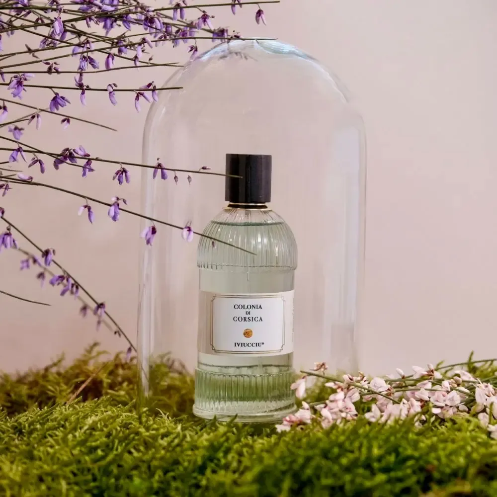 Parfums pour soi et eaux de toilette - Eau de Cologne Colonia Di Corsica - IVIUCCIU DI CORSICA