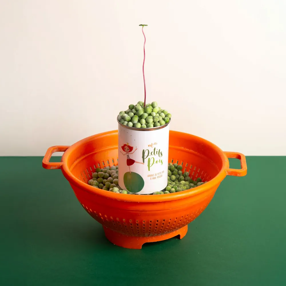 Cadeaux - Kit à semer "Mlle Petits Pois" Fabriqué en France - MAUVAISES GRAINES