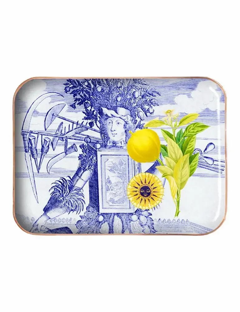 Trays - Half-size enamelled tray\" The Prince Gardener\ " - PARADISIO IMAGINARIUM