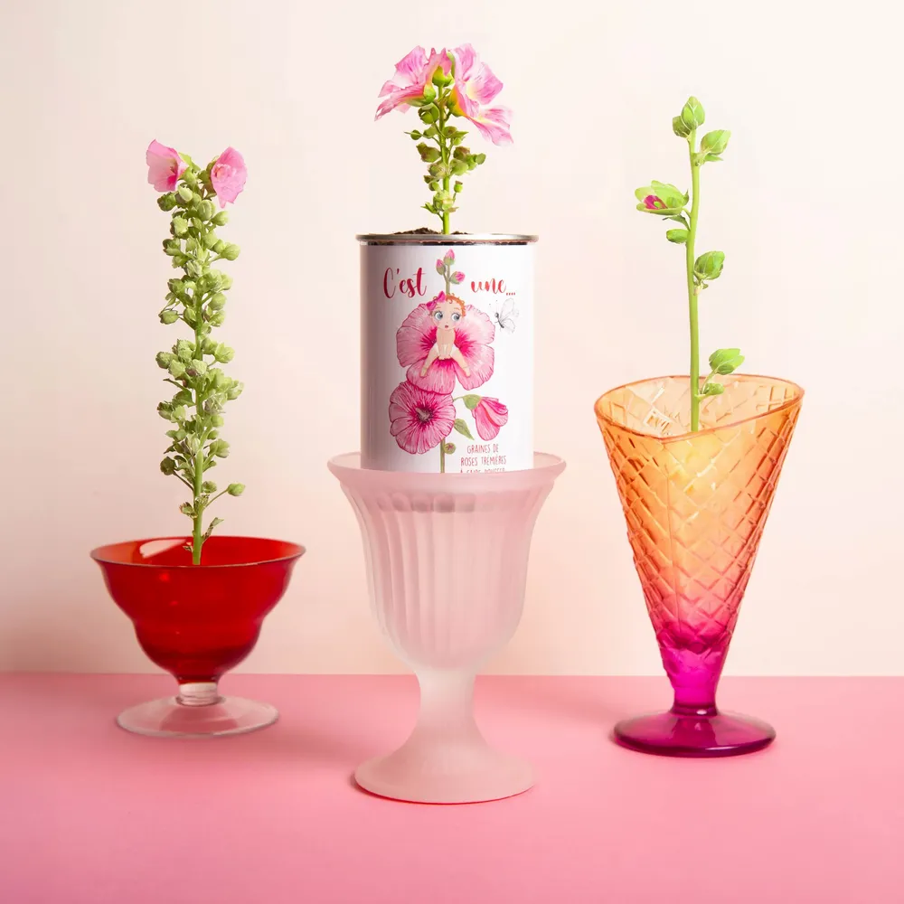 Cadeaux - Kit à semer "C'est une..." Fabriqué en france - MAUVAISES GRAINES