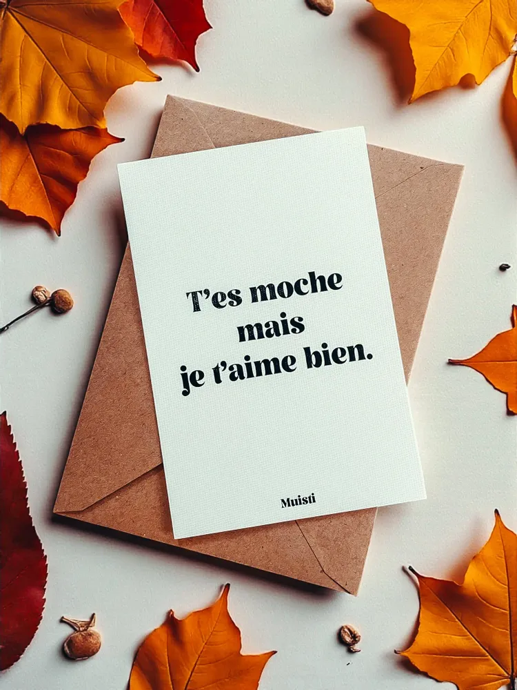 Carterie - Carte postale message - T'es moche mais je t'aime bien – Format 10x15cm - MUISTI