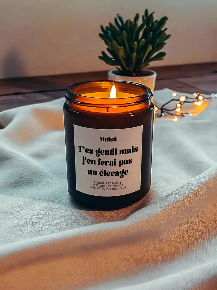 Decorative objects - Scented Candle - You're nice, but I won't breed them - White Musk - 160g - MUISTI