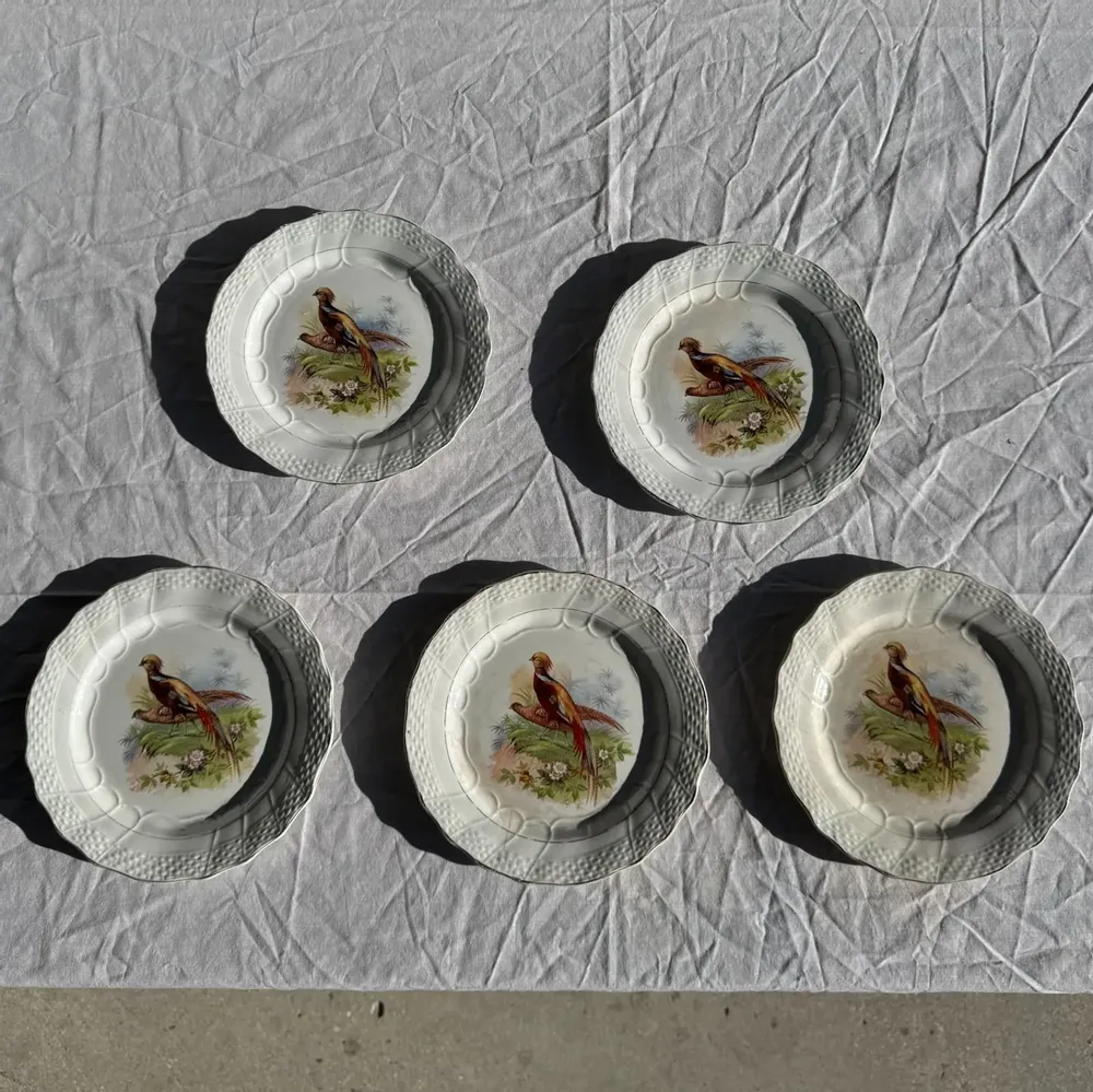 Formal plates - Set of 5 antique plates with pheasant pattern Hamage & Moulin des Lou - OFFICE OBJETS