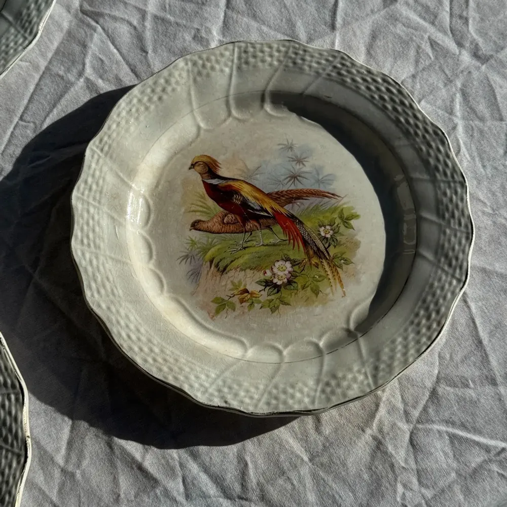 Formal plates - Set of 5 antique plates with pheasant pattern Hamage & Moulin des Lou - OFFICE OBJETS