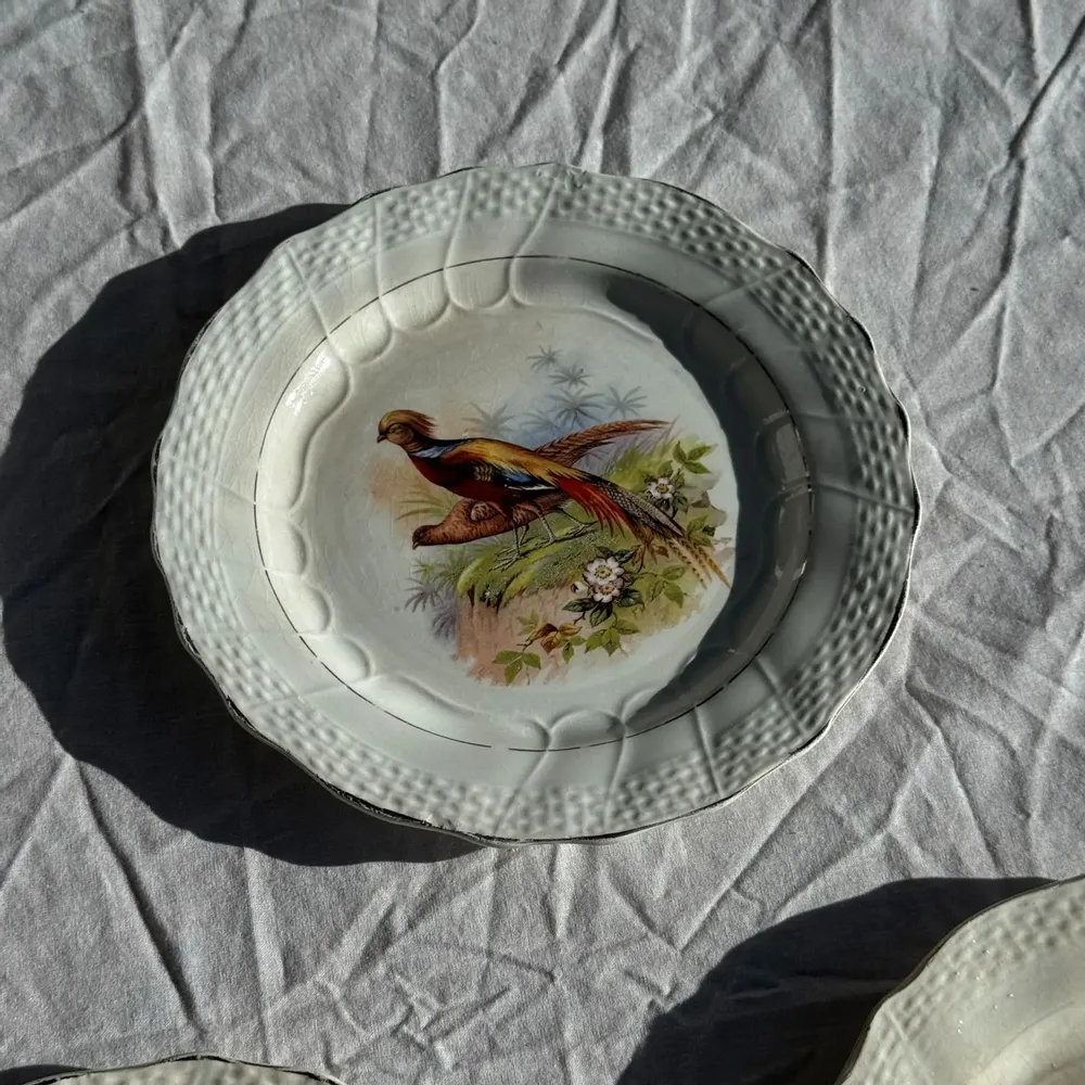 Formal plates - Set of 5 antique plates with pheasant pattern Hamage & Moulin des Lou - OFFICE OBJETS