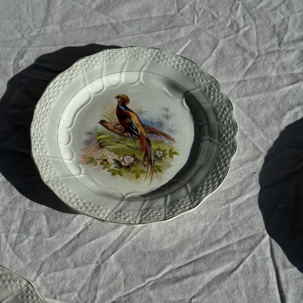 Formal plates - Set of 5 antique plates with pheasant pattern Hamage & Moulin des Lou - OFFICE OBJETS