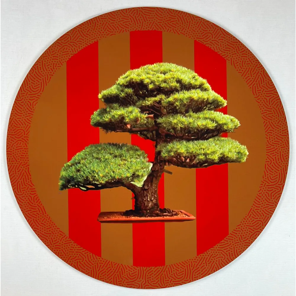 Placemats - placemats - Bonsai Sottobicchieri - #05 - FURIA LIVING