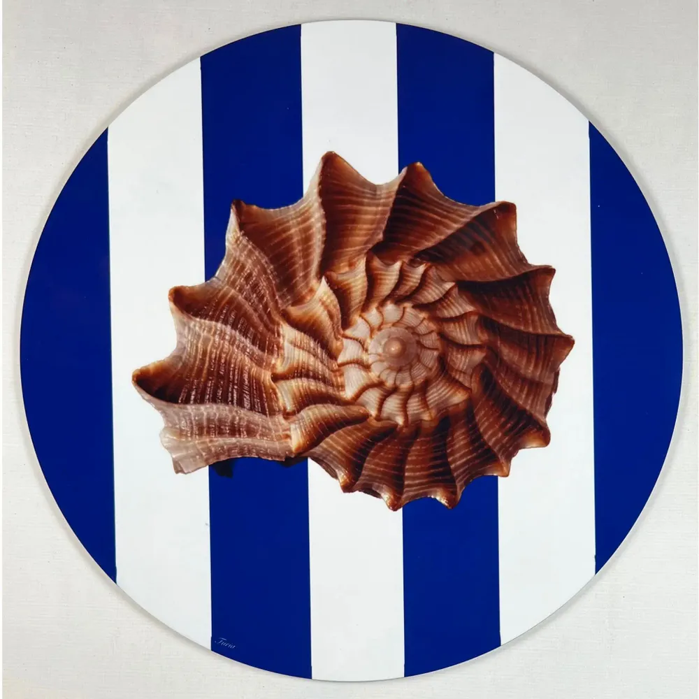 Dessous de plat - Dessous de bouteille - Conchiglia Sottobottiglia - #01 - FURIA LIVING