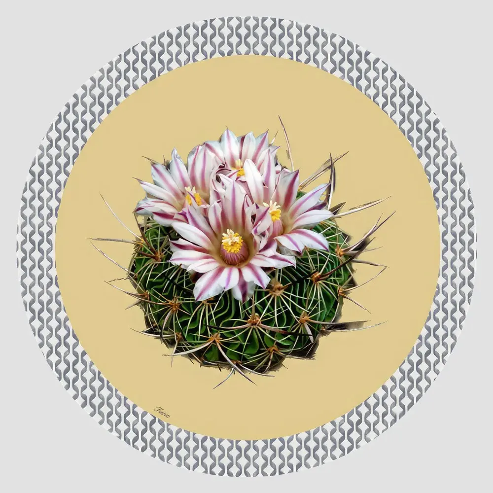 Table mat - Bottle coaster - Cactus Sottobottiglia Rotondo - #03 - FURIA LIVING